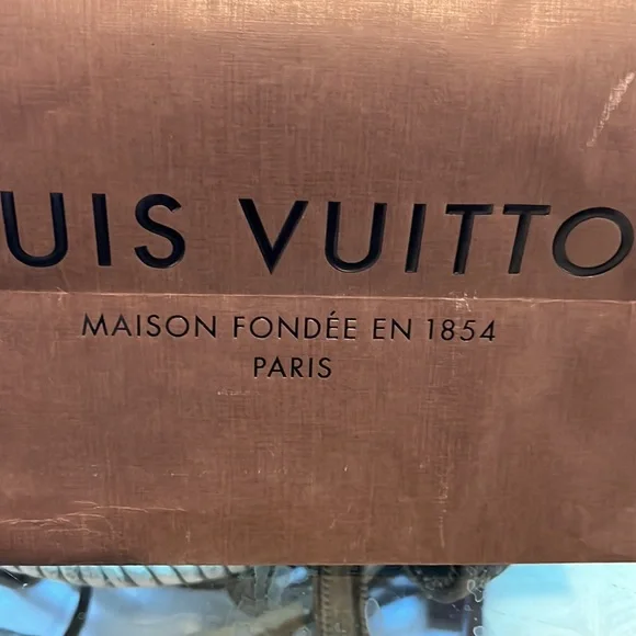 Authentic Louis Vuitton Paper bag - Picture 2 of 10